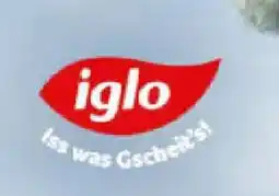 Billa iglo Angebot
