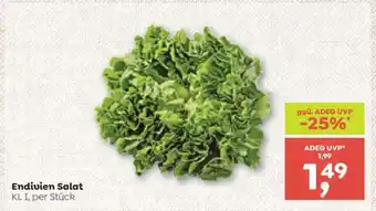 ADEG Endivien Salat Angebot