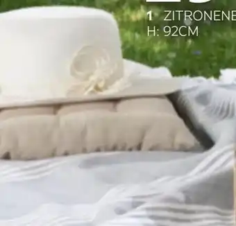 XXXLutz Zitronenbaum Lemon Holiday Angebot