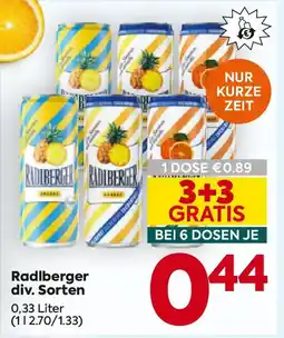 Billa Radlberger Angebot