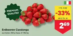 MPreis Erdbeeren candonga Angebot