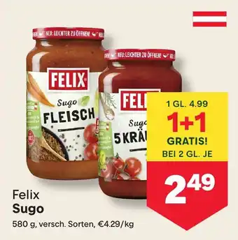 Felix sugo