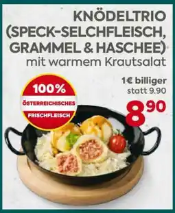 Billa KNÖDELTRIO (SPECK-SELCHFLEISCH, GRAMMEL & HASCHEE) Angebot