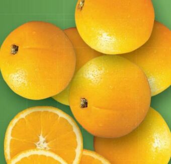 Lidl Orangen Angebot