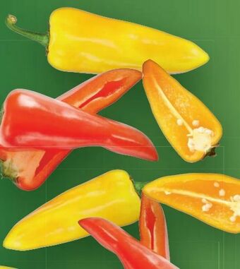 Lidl Paprika Mix Angebot