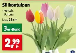 Thomas Philipps Silikontulpen Angebot