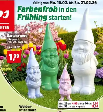 Thomas Philipps Gartenzwerg Angebot