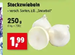 Thomas Philipps Steckzwiebeln Angebot