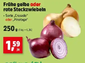 Frühe gelbe oder rote Steckzwiebeln