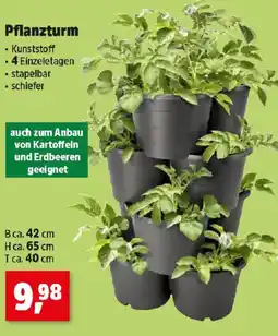 Thomas Philipps Pflanzturm Angebot