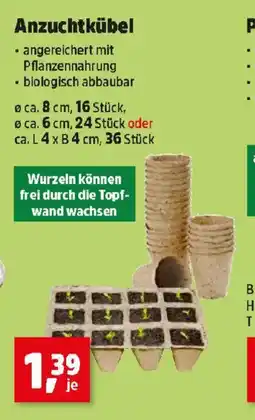 Thomas Philipps Anzuchtkübel Angebot