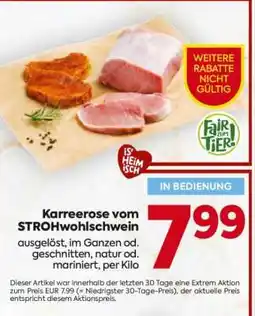 Billa Karreerose vom Strohwohlschwein Angebot