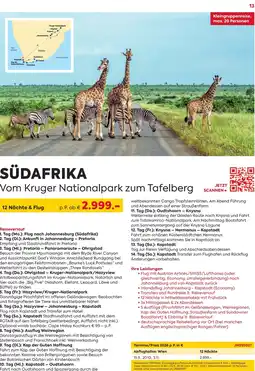 Billa Reisen Südafrika Vom Kruger Nationalpark zum Tafelberg Angebot