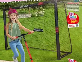 Fussballtor Pro Tect 240