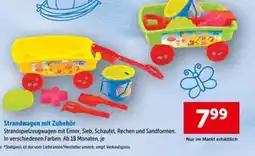 Interspar Strandwagen mit Zubehör Angebot