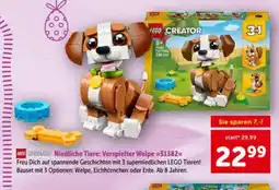 Interspar Niedliche Tiere: Verspielter Welpe Angebot