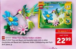 Interspar Wilde Tiere: Bunter Kolibri Angebot
