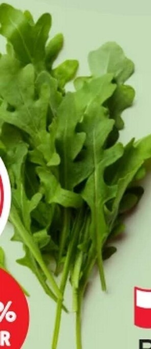 MPreis Rucola Angebot