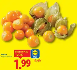 Lidl Physalis Angebot