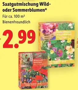Lidl Saatgutmischung wild oder sommerblumen Angebot