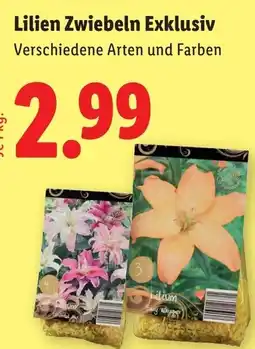 Lidl Lilien Zwiebeln Exklusiv Angebot