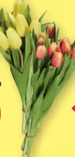 Lidl Tulpensträuße Angebot