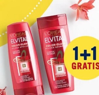 MPreis Elvital Shampoo Angebot