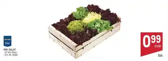 Metro Mix-Salat Angebot