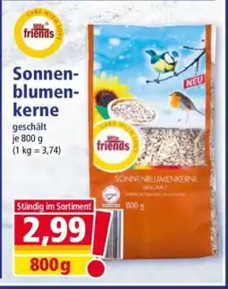 Norma Sonnenblumenkerne Angebot