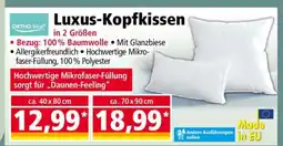 Norma Luxus-Kopfkissen Angebot