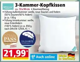 Norma 3-Kammer-Kopfkissen Angebot