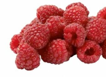 Transgourmet Himbeeren Angebot