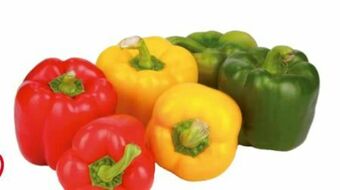 Transgourmet Paprika Mix Angebot