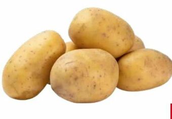 Transgourmet Ofenkartoffel Angebot