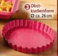 Norma Obst- kuchenform Angebot