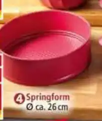 Norma Springform Angebot