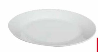 Transgourmet Teller Flach Serie Young Angebot