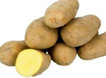 Transgourmet Kartoffel Gastro Angebot