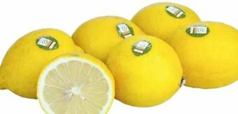 Transgourmet Bio Zitronen Angebot