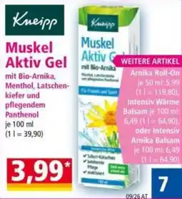 Norma Muskel Aktiv Gel Angebot