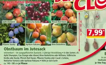 Obstbaum im Jutesack