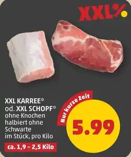 PENNY Xxl karree od. xxl schopf Angebot