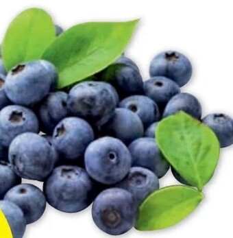 PENNY Heidelbeeren Angebot