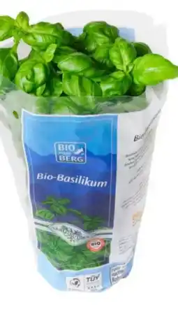 MPreis Bio vom Berg Basilikum Angebot