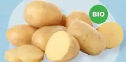 MPreis M Bio Kartoffeln Angebot