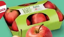 PENNY Echt Bio Äpfel Angebot