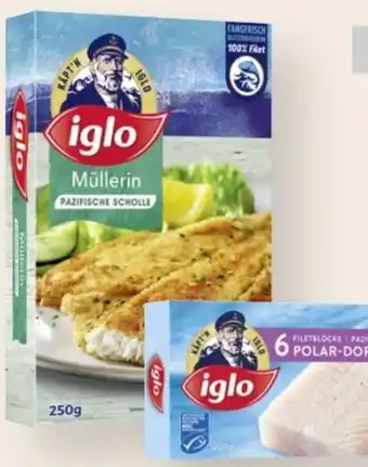 MPreis Iglo Polardorsch Angebot