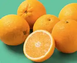 PENNY Echt Bio Orangen Angebot