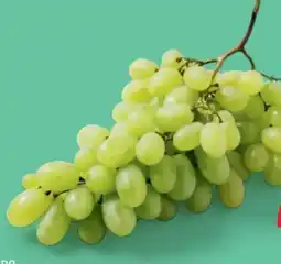 PENNY Trauben Angebot