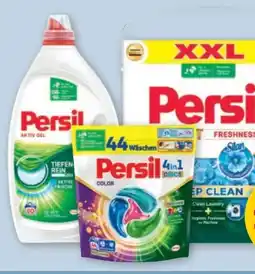 PENNY Persil Pulver Angebot